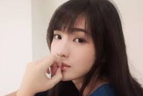内容整理项目